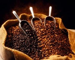 Granos De Caf Koffee Kult Tostado Oscuro